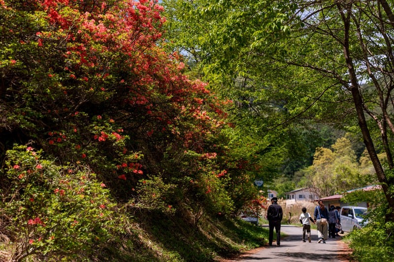 武石公園のツツジを見に来る観光客の写真