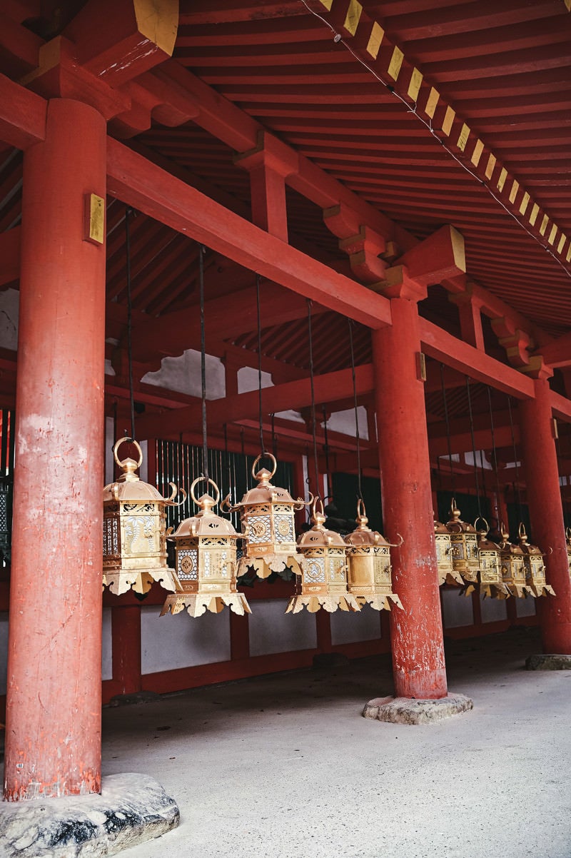 春日大社「中元万燈籠」の写真