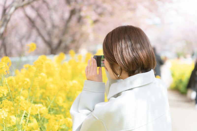 三浦海岸桜まつりを撮影する女性の写真