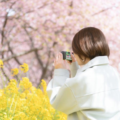 菜の花を撮影中の女性の写真