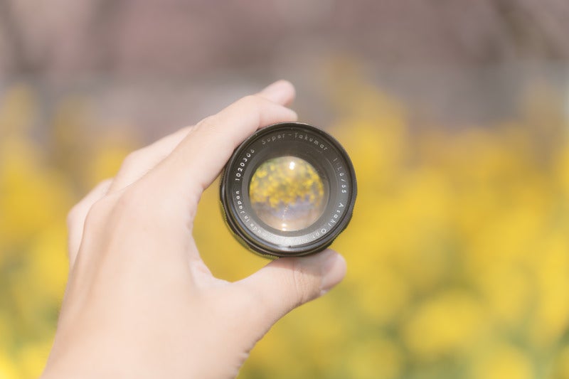 交換レンズから見た菜の花の写真