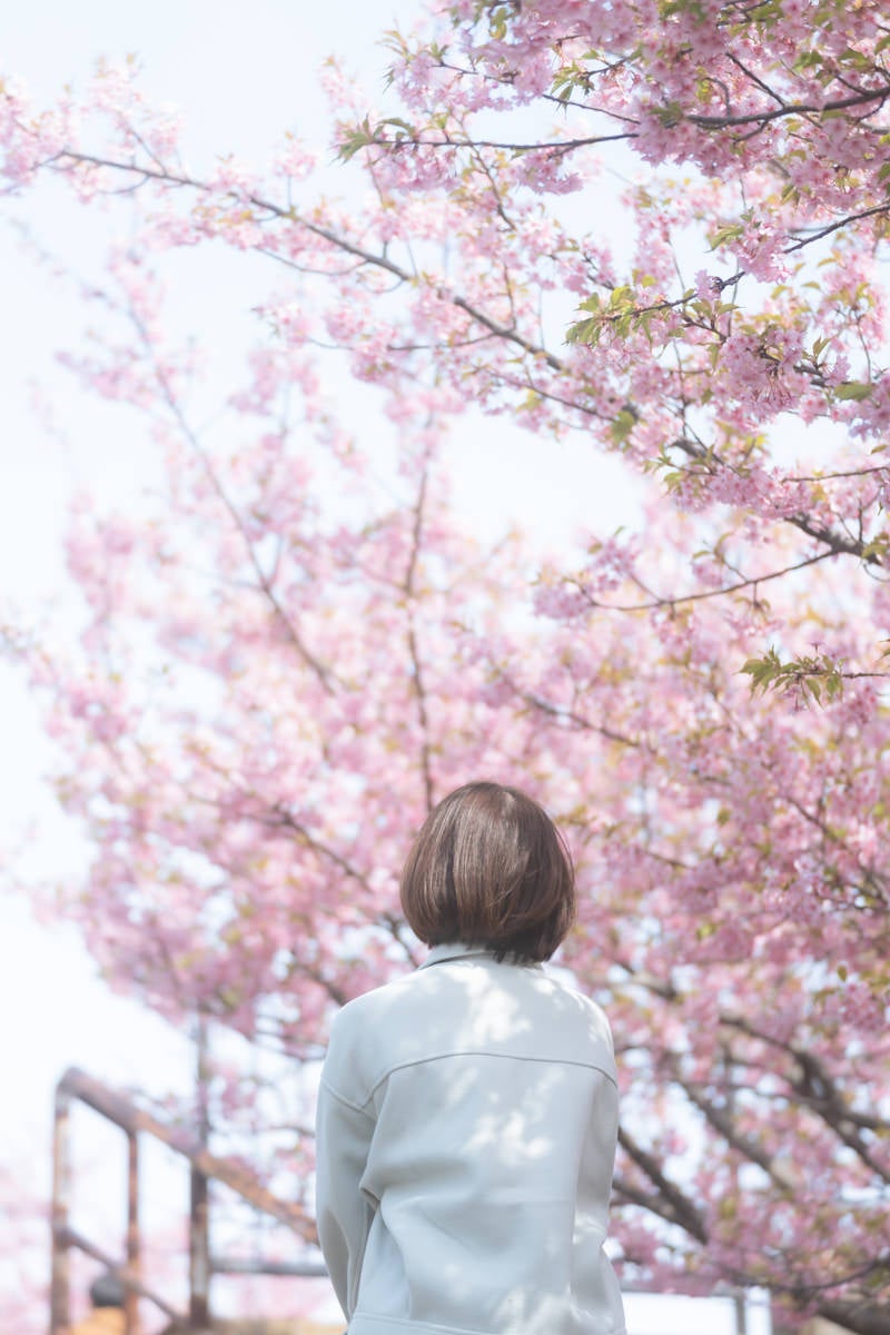 桜の下で待ちぼうけの女性の写真