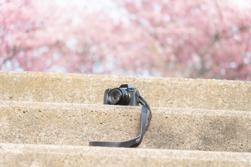 階段に置き忘れたカメラの写真