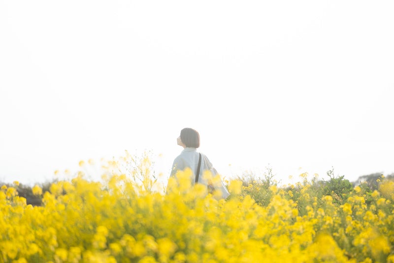 菜の花畑に迷い込む女性の写真