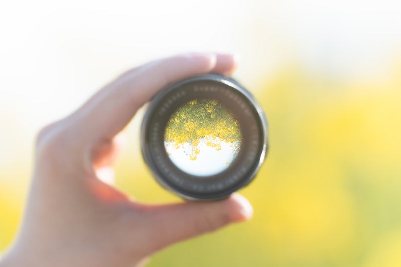 交換レンズ越しの菜の花の写真