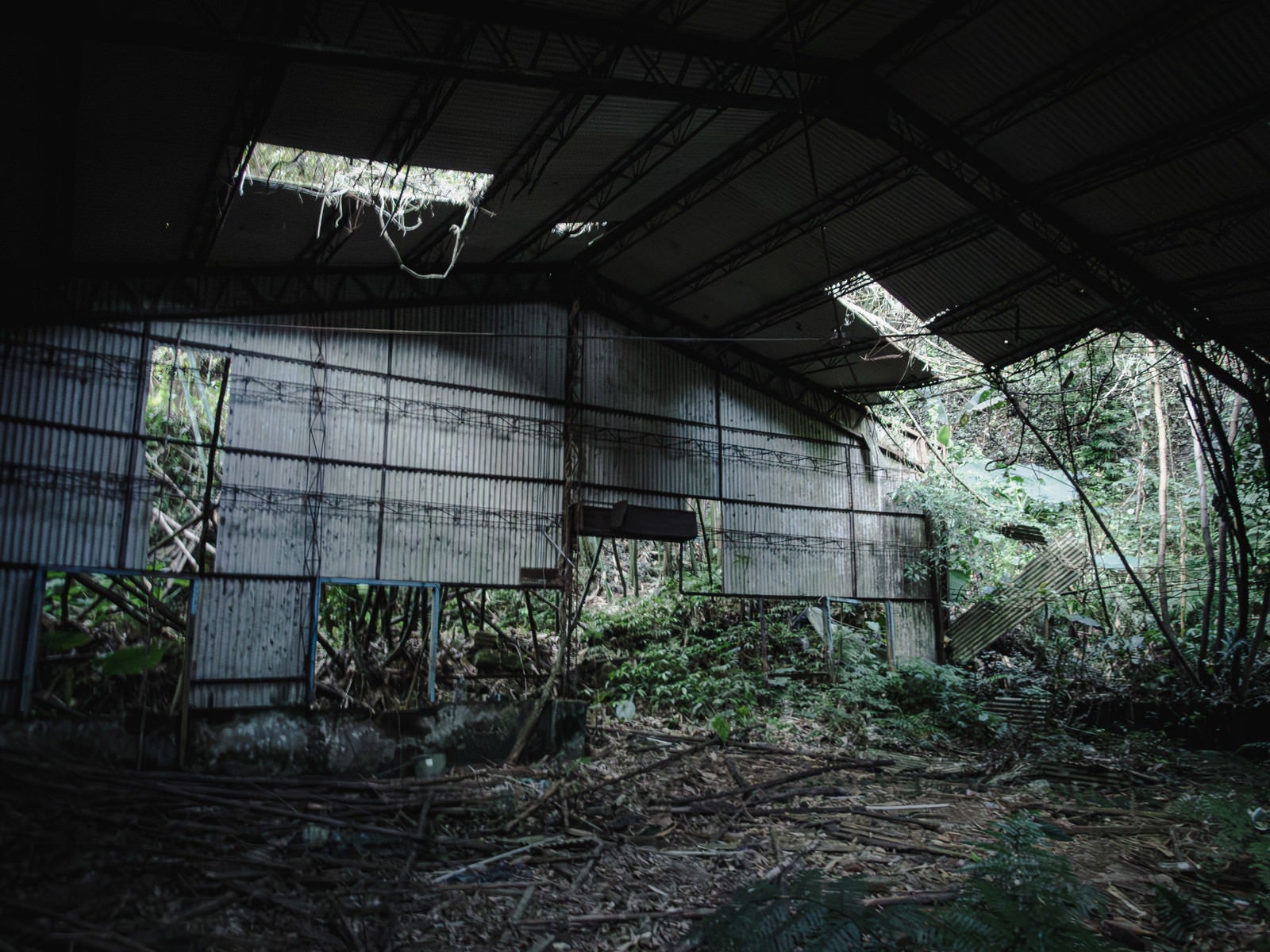 「半壊した無人の建物」の写真