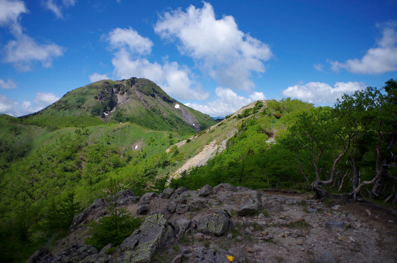 「前白根山登山道から見る日光白根山」の写真