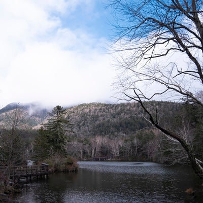 北海道・阿寒湖と立ち枯れの山の写真