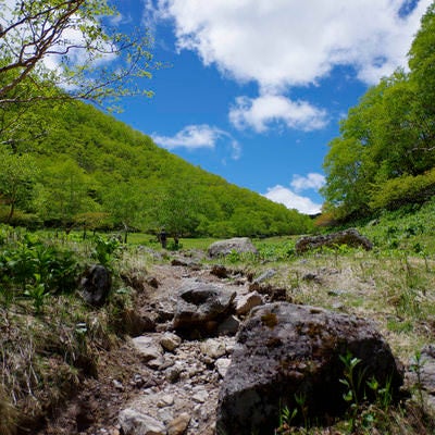 日光白根山山頂へと向かう谷間の道の写真