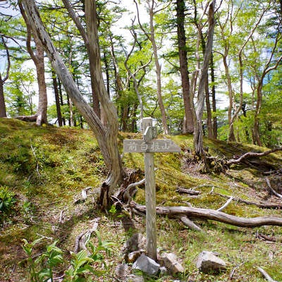 日光白根山湯元温泉コースの指導標の写真