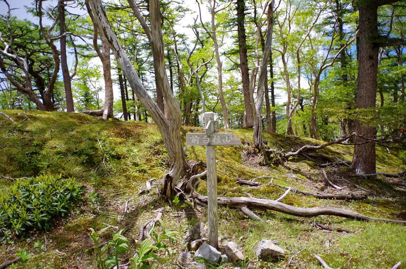 日光白根山湯元温泉コースの指導標の写真