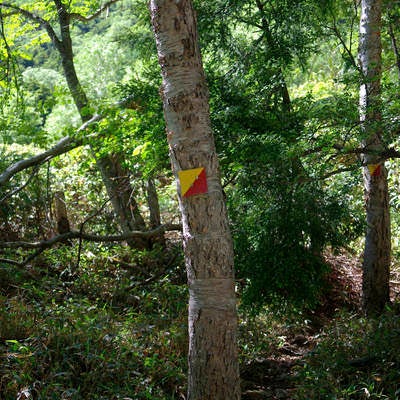 登山道を示す栃木県特有の指導標の写真