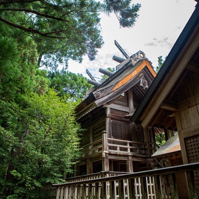 須佐神社の本殿（島根県出雲市）の写真