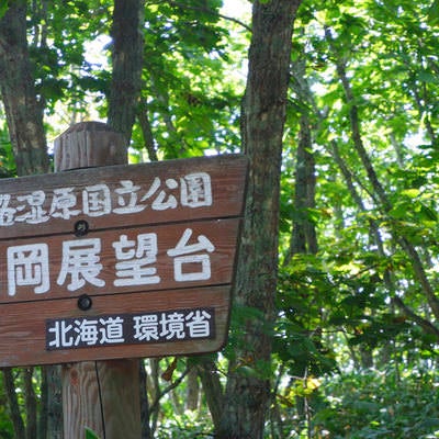 釧路湿原国立公園・細岡展望台の写真