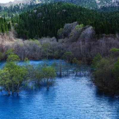 山の中のダム湖の写真