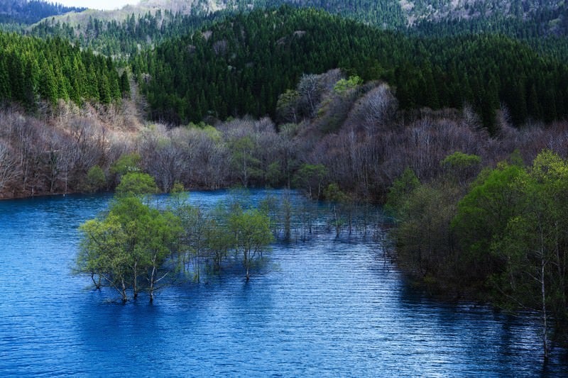 山の中のダム湖の写真