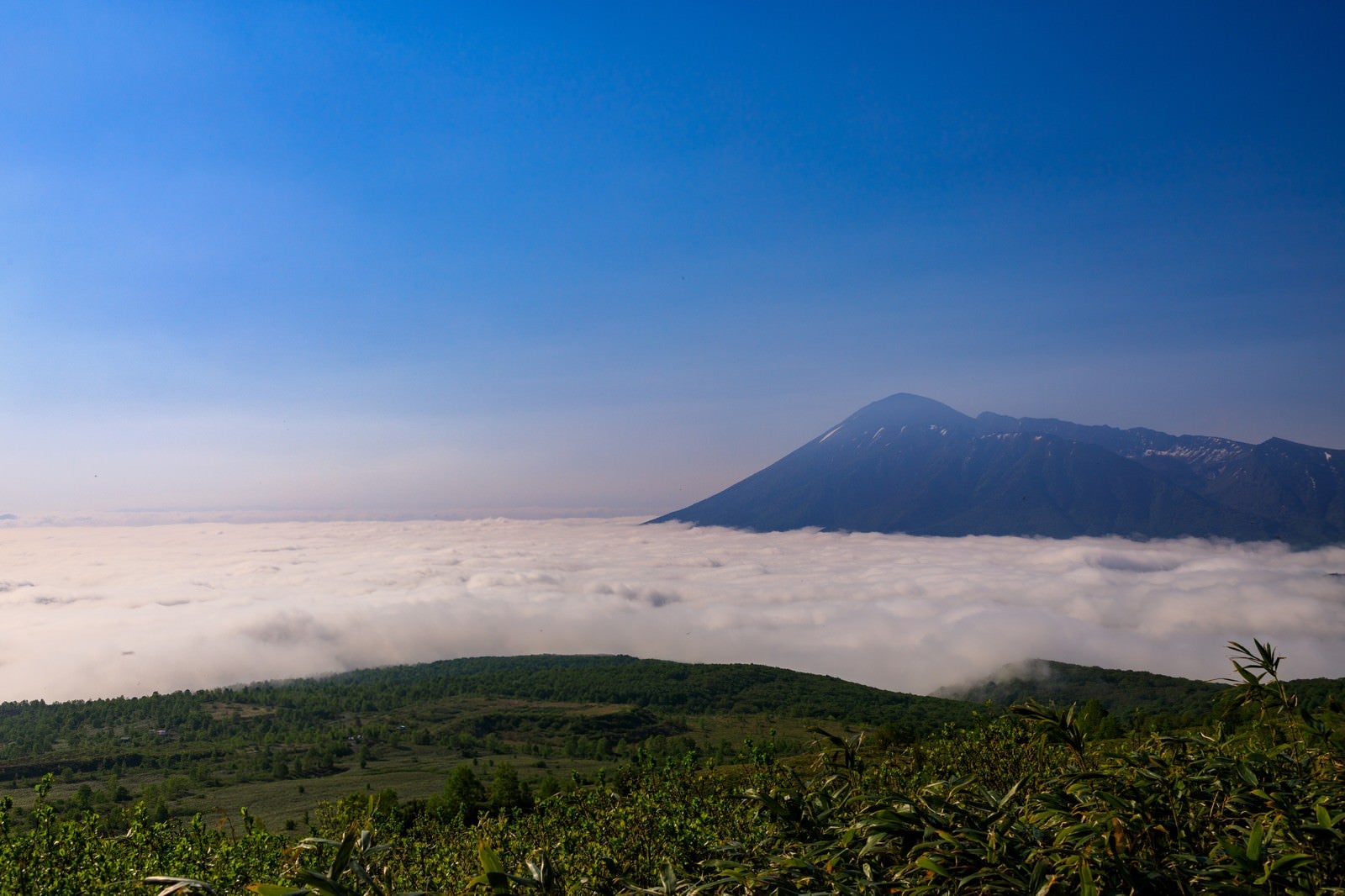 「八幡平の雲海」の写真