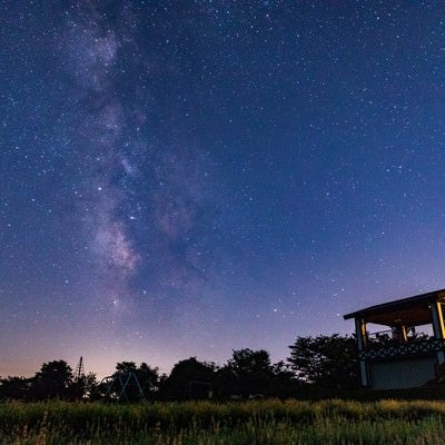 ラベンダー園から見える天の川の写真