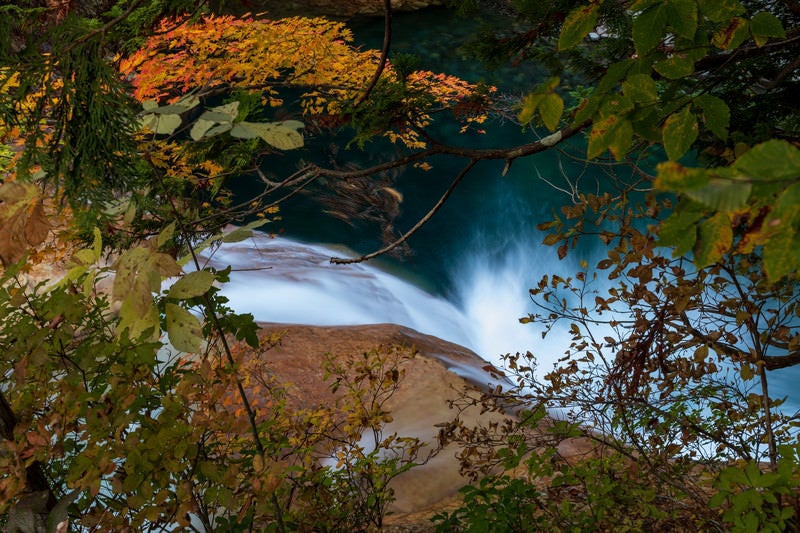 紅葉したもみじと赤滝の滝壺（秋田県雄勝郡東成瀬村）の写真