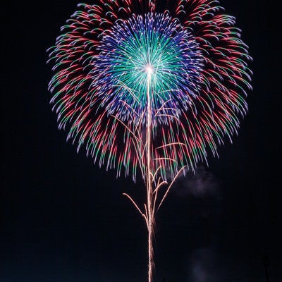 大曲の花火（春の章）の写真