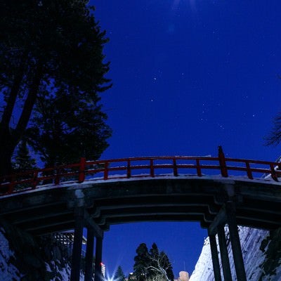 盛岡城址の月の写真