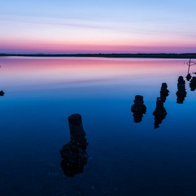 蒲生干潟の夜明けの写真