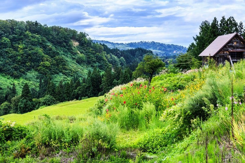 山に囲まれた小屋の写真