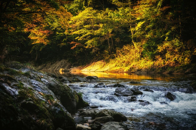 渓谷の秋の夕暮れの写真