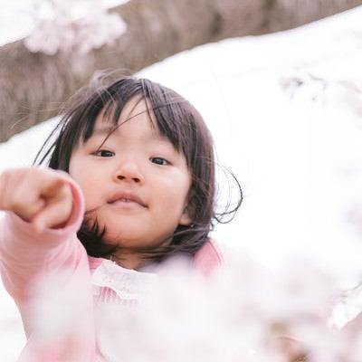 花見の季節、場所取りを気にする娘の写真