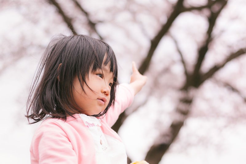 あれは梅なのか桜なのか聞いてくる子供の写真