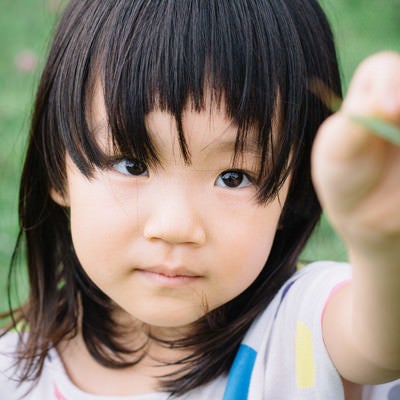 公園でバッタを見つけた少女の写真