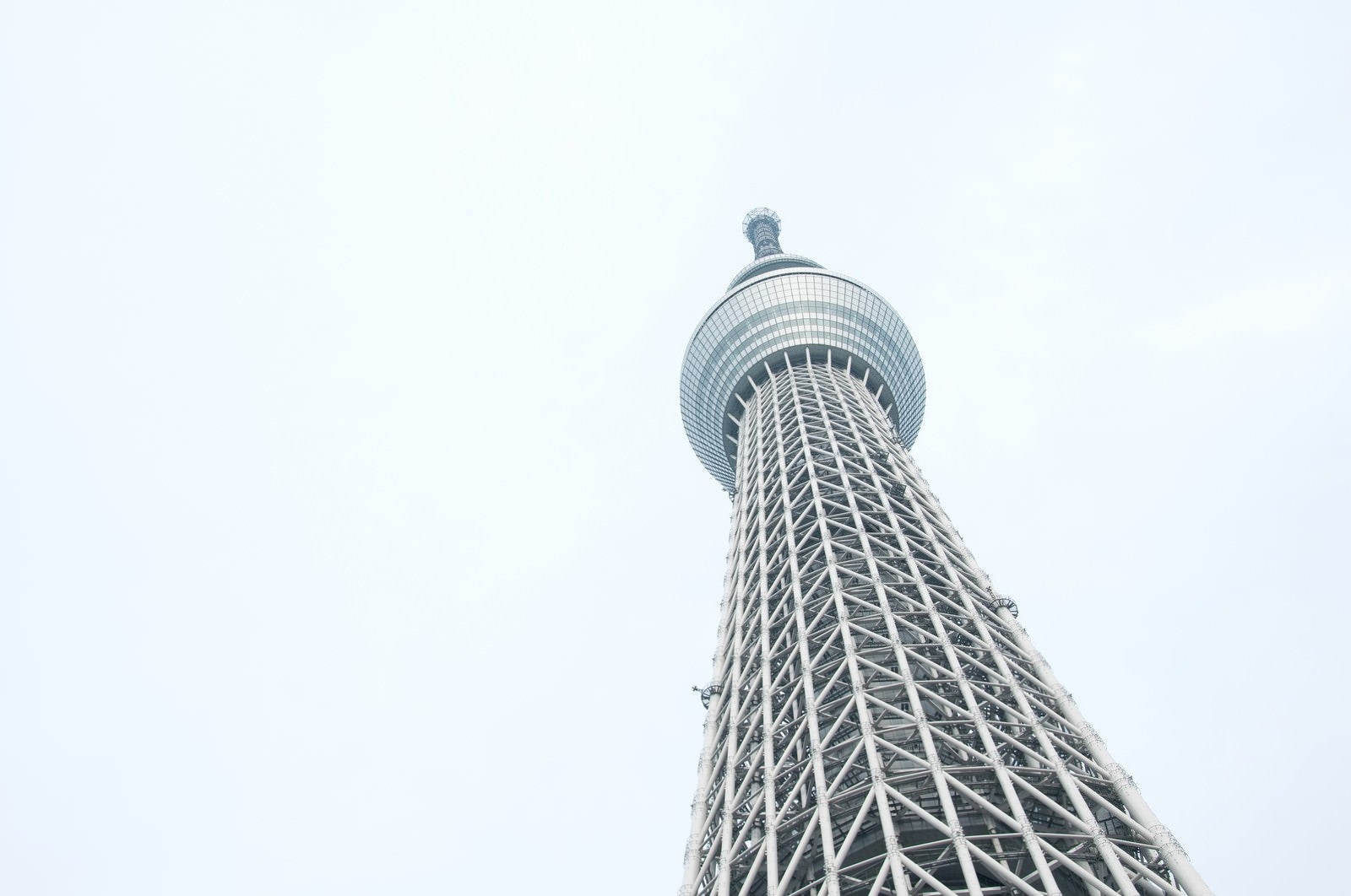 「見上げるスカイツリー」の写真