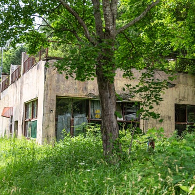 草が生い茂る中、佇む建物の写真