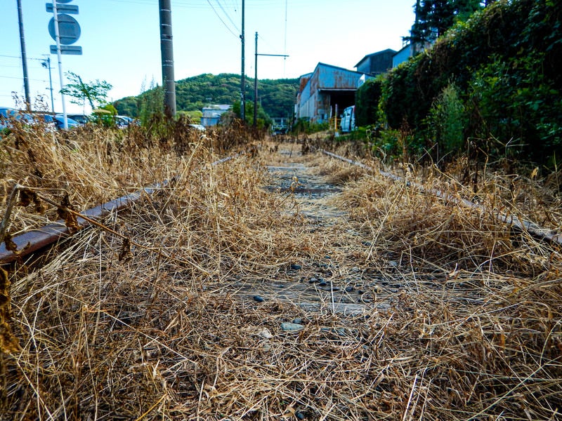 枯草で覆われた廃線の写真