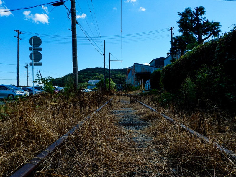 青い空と廃線の様子の写真