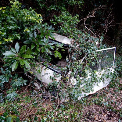 乗り捨てられたまま放置された廃車の写真