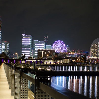 みなとみらいの夜景（ランドマーク・観覧車）の写真