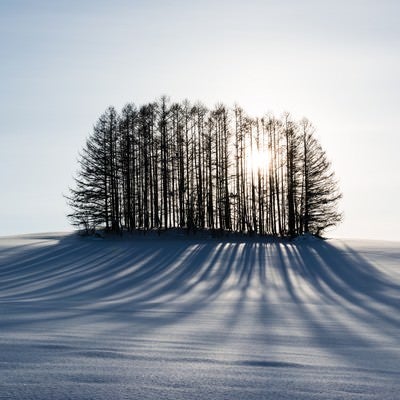 雪とマイルドセブンの丘の写真