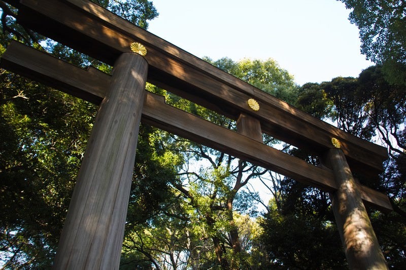 明治神宮の鳥居の写真