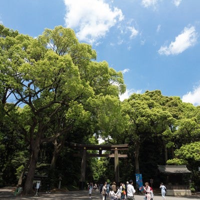 明治神宮入り口（鳥居）の写真