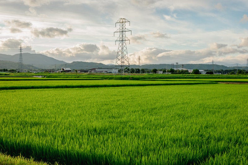 田んぼの中の鉄塔の写真