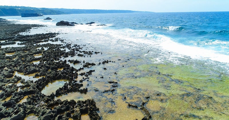 隆起サンゴ礁が続く犬田布海岸の写真