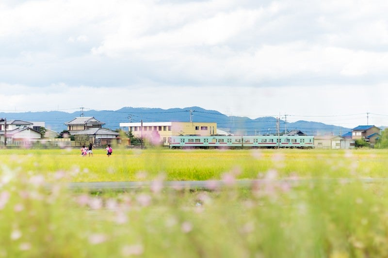 西鉄電車と田園風景（福岡県大刀洗町）の写真