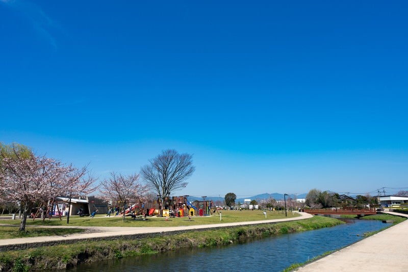 大刀洗公園の春の写真