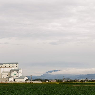 大刀洗町のJA施設と広がる農地の写真