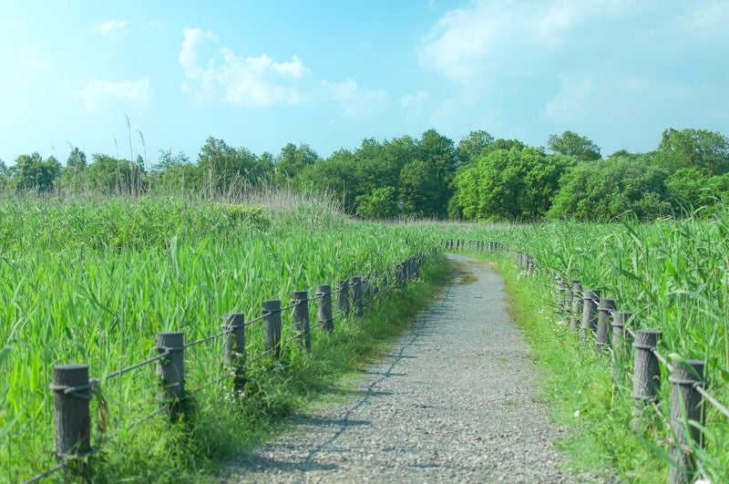 柵で区切られた遊歩道の写真