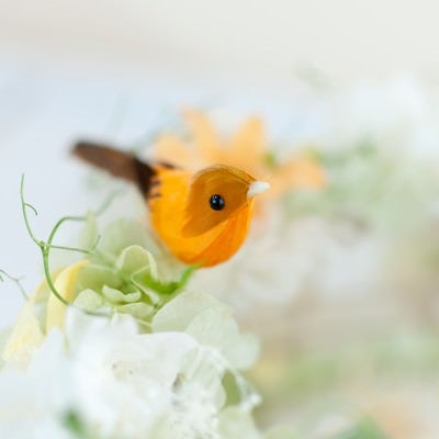 お花と小鳥ちゃんの写真