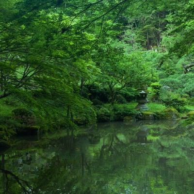 成田山の写真