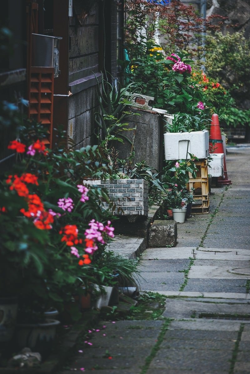 路地裏の写真