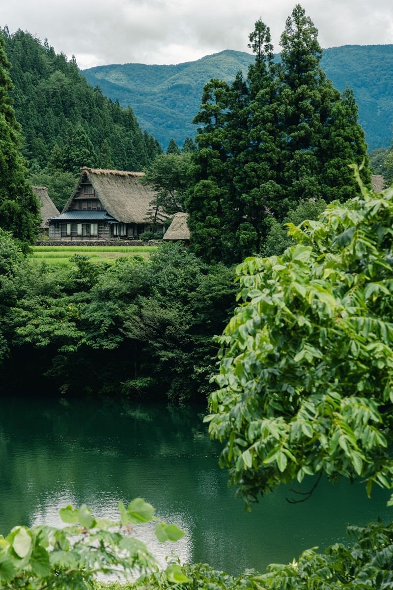 川端から見る菅沼集落の写真